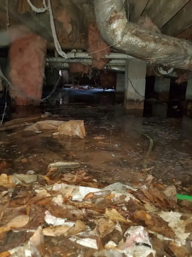 Crawl space flood assessment for Commercial Water Damage Restoration in Windcrest